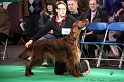 Crufts2011 552